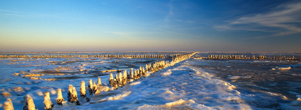 Exposed mudflats covered in snow and ice shells.