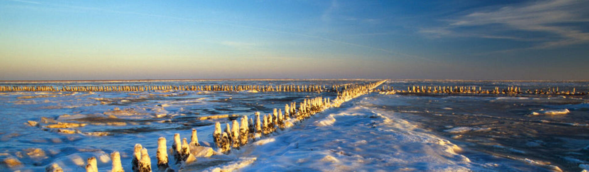 Exposed mudflats covered in snow and ice shells.