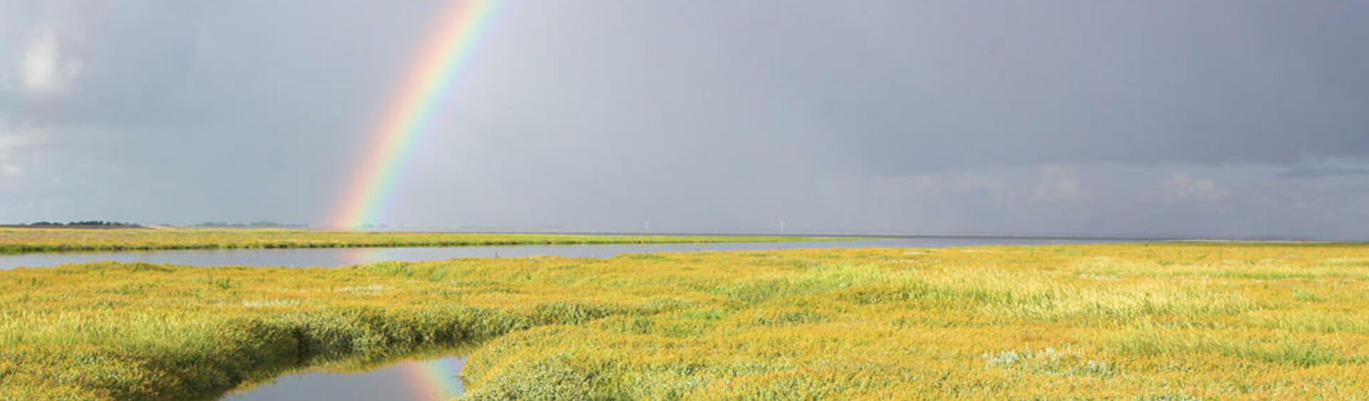 Green-yellow salt marsh divided by tidal creek with sky filled with rain clouds and a rainbow.
