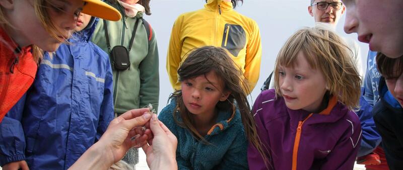 Children exploring wildlife. Henk Postma.