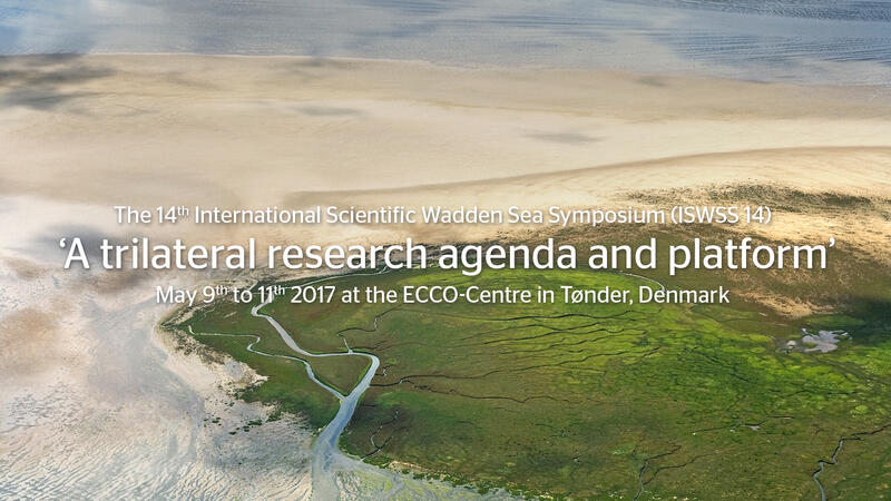 Salt marsh and mudflat. Danish Environmental Protection Agency.