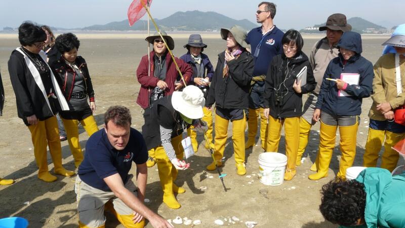 Joint excursion to the Korean mudflats. © CWSS. Group of people on exposed mudflats examining the surface. © CWSS.