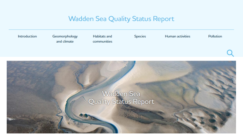 Screenshot of the QSR online platform.