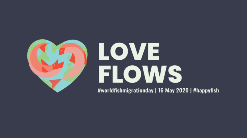 World Fish Migration Day banner. World Fish Migration Foundation.