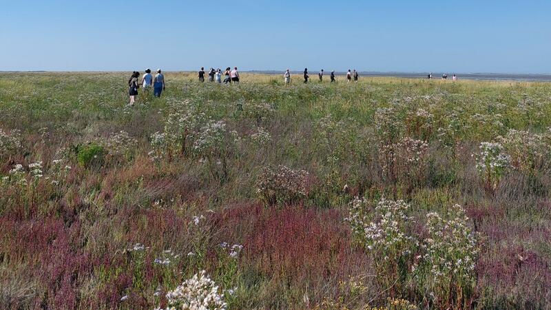 Group of students walking through colourful salt marsh. © Hinke Lise Hoekstra. Group of students walking through colourful salt marsh. © Hinke Lise Hoekstra.