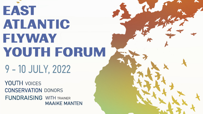 East Atlantic Flyway Youth Forum poster. Wetland Link International.
