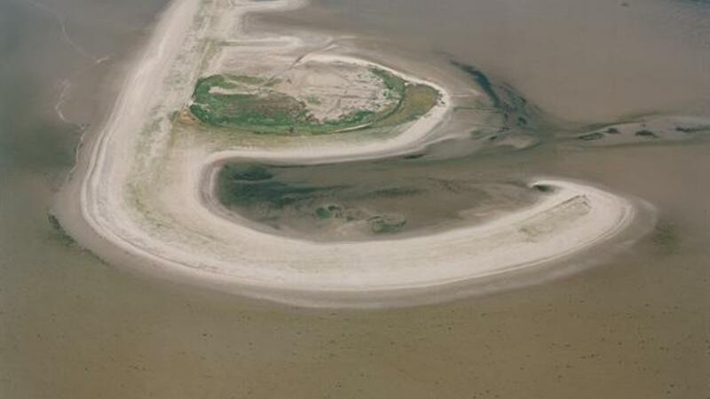 Griend (source: https://beeldbank.rws.nl, Rijkswaterstaat / Bart van Eyck )