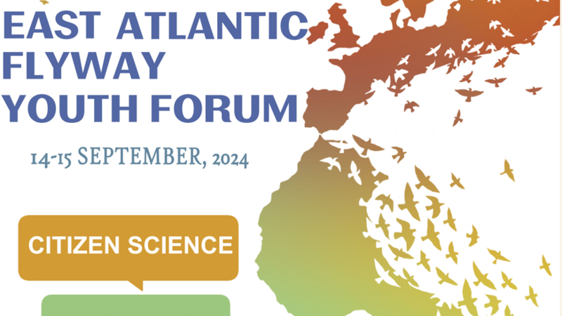 Invitation banner of the EAFYF with a map of Norhtern Africa and Europe dissolving into birds. CWSS/Regina Coelho.