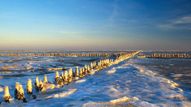 Exposed mudflats covered in snow and ice shells.
