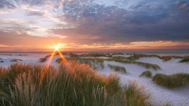 Sunset over dune landscape. © A. Schnabler.