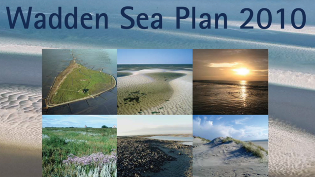 Cut-out of the cover image of the Wadden Sea Plan publication.