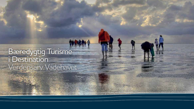 Screenshot of document title page with image of mudflat hikers on exposed mudflat with cloudy sky. © Frederico di Campo.