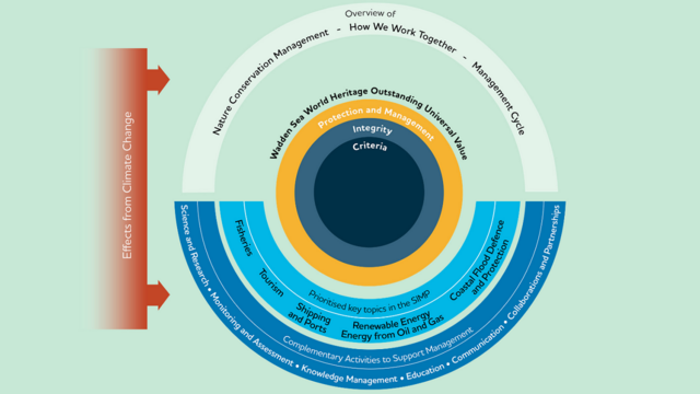 Graphic of the scope of the integrated management plan. © CWSS.