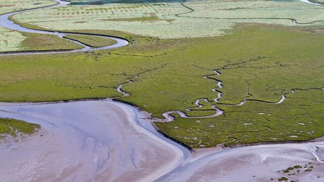 Natural marsh development in front of man-made foreland-type marshes at Dieksanderkoog, southern Schleswig-Holstein. © Martin Stock.