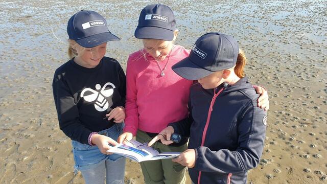 Three children with UNESCO hats standing on a mudflat look at sampling guidelines. © Silke Ahlborn/ LKN.SH.