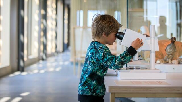 A boy looking through a microscope in an exhibition space. © Tjeerd Visser.