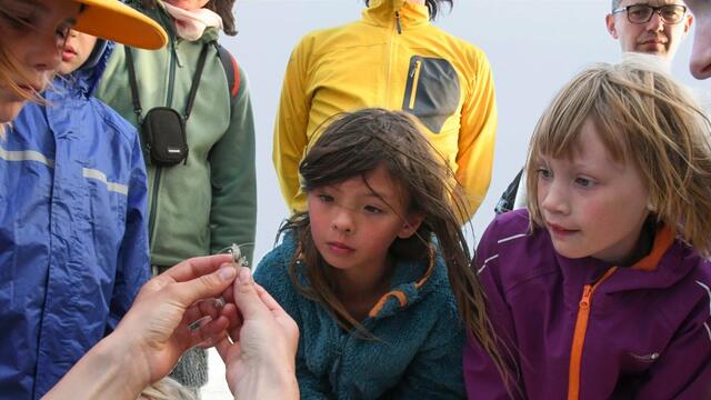 A group of children looking at a shrimp held up by a hand. © Henk Postma.