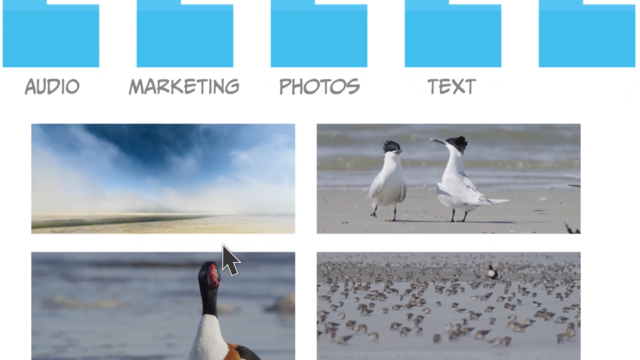Visualisation of content library with folders for different content types. © CWSS.