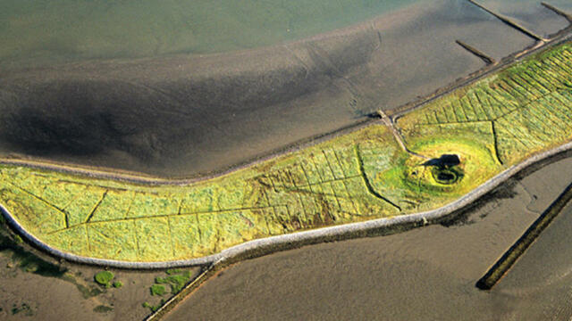 Aerial image of the Hallig Habel inmidst mudflats and water. © Martin Stock.