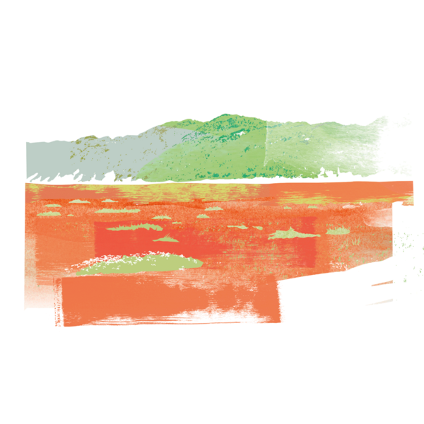 Watercolour-style graphic of salt marsh and dunes. © CWSS/ Creative Concern