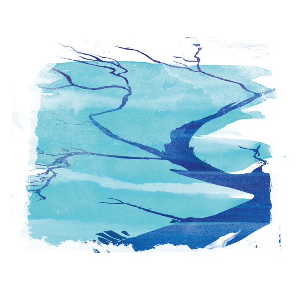 Watercolour-style graphic of tidal creek. © CWSS/ Creative Concern
