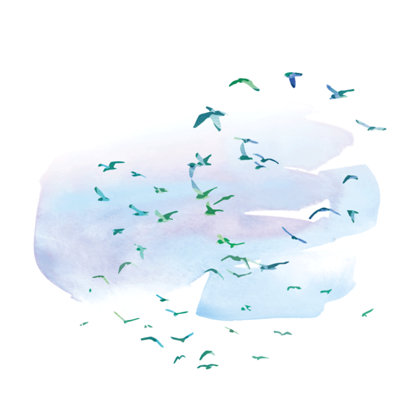 Watercolour-style graphic of flock of birds. © CWSS/ Creative Concern