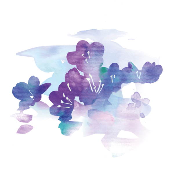Watercolour-style graphic of sea lavender. © CWSS/ Creative Concern