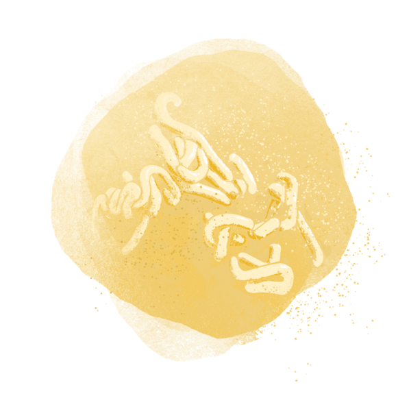 Watercolour-style graphic of lugworm excrements. © CWSS/ Creative Concern