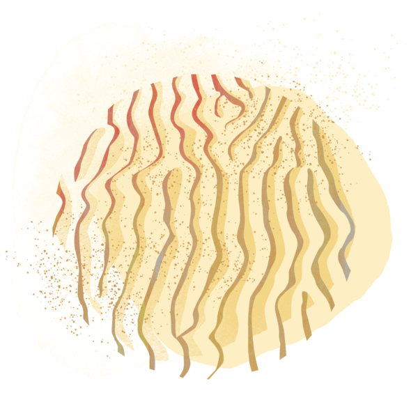 Watercolour-style graphic of beach ripples. © CWSS/ Creative Concern