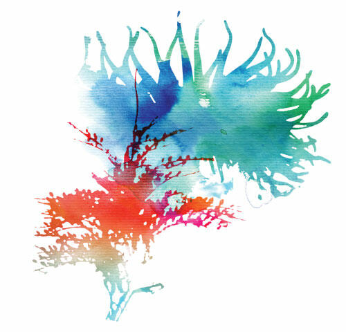 Watercolour-style graphic of anemone. © CWSS/ Creative Concern