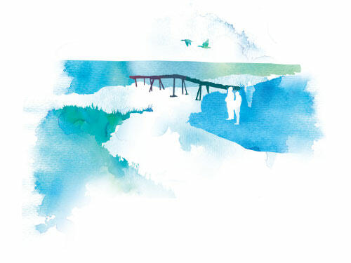 Watercolour-style graphic of bridge in salt marsh landscape over tidal creek. © CWSS/ Creative Concern