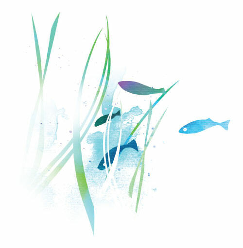 Watercolour-style graphic of fish and sea grass. © CWSS/ Creative Concern