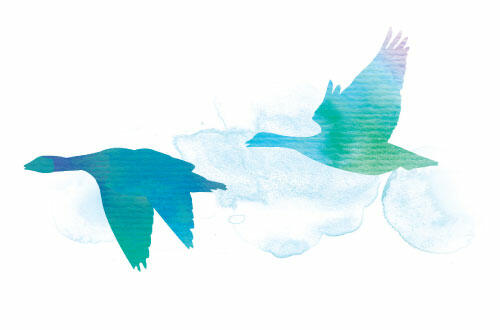 Watercolour-style graphic of two flying geese. © CWSS/ Creative Concern